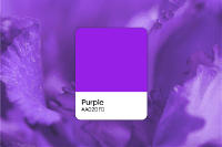 How to create purple pictures with Picsart