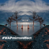 Use the Mirror Effect to Produce Wonderfully Distorted Art for the Weekend Art Project #WAPmirroreffect