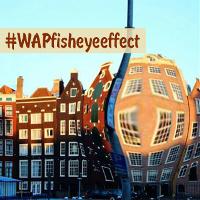 The Fisheye Photo Effect Weekend Art Project