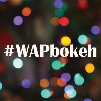 Use PicsArt Bokeh for the Weekend Art Project!
