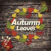 Download Autumn Leaves Clipart and Backgrounds