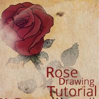 How to Draw a Rose Using the PicsArt App