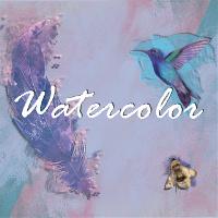 Turn Your Photos into Masterpieces with the Watercolor Package