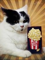 Snack Attack: A #popcorn Photo Gallery