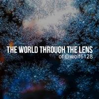 The World Through Henry&#039;s Lens