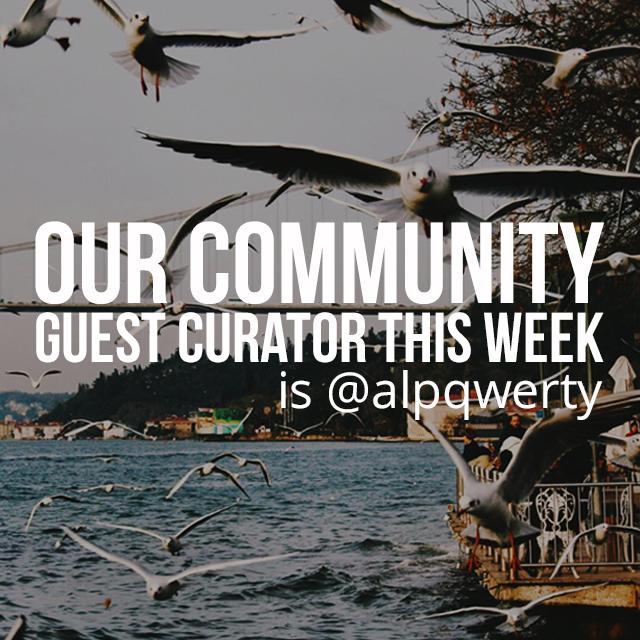 With 1,000,000 Followers, Alp Peker Is This Week’s Guest Community Art Curator