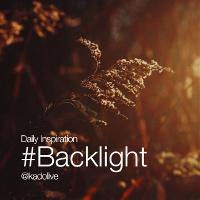 Tuesday Inspiration: #Backlight