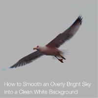 How to Smooth an Overly Bright Sky Into a Clean White Background