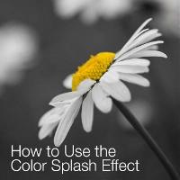 How to Use the Color Splash Effect