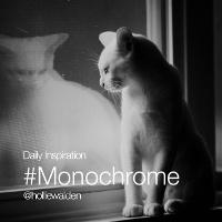Wednesday Inspiration: #Monochrome