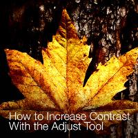 How to Increase Contrast With the Adjust Tool