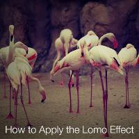How to Apply the Lomo Effect