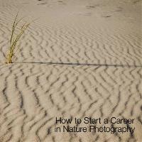 How to Start a Career in Nature Photography
