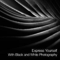 Express Yourself With Black and White Photography