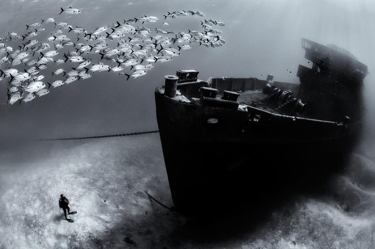 A Dive Into Underwater Photography With Alex Mustard