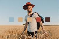 How Do You Create a Color Palette From an Image?