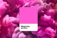 Is Magenta a Real Color? Color Codes and How to Work With It