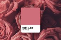 Rose gold: hex code, shades, and design ideas