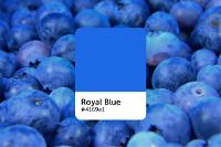 Cor Azul Royal: Códigos, Significados e Ideias de Paleta