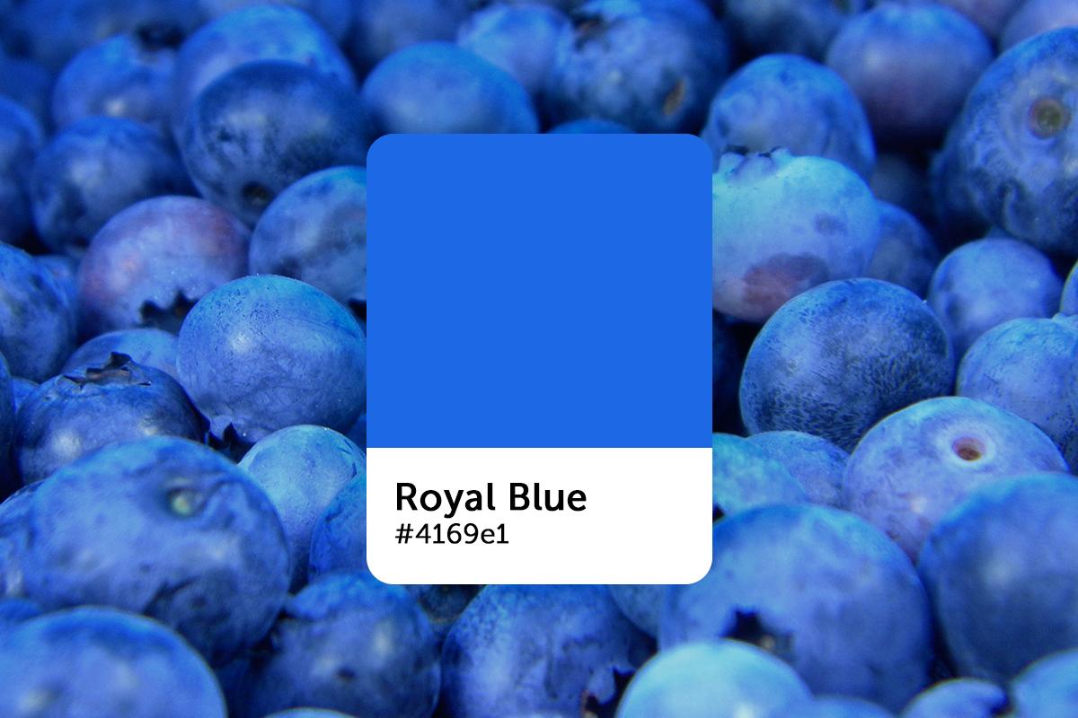 Cor Azul Royal: Códigos, Significados e Ideias de Paleta