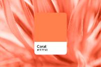 What Color Is Coral? Its Meaning, How to Work With It, and Related Colors