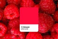 Crimson Color: Color Codes, Meaning, and Palette Ideas
