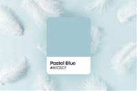 What Color Is Pastel Blue? Color Codes, Palette Ideas, and Related Colors