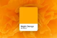 Bright Orange: Shades, Palettes & Similar Colors
