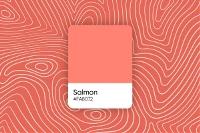 Salmon Color: Codes, Complementary Colors and Palette Ideas