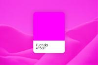 Fuchsia Color: Its Meaning, Similar Colors, and Codes