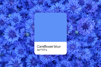 What is Cornflower Blue? Codes, Complimentary Colors, and Meaning