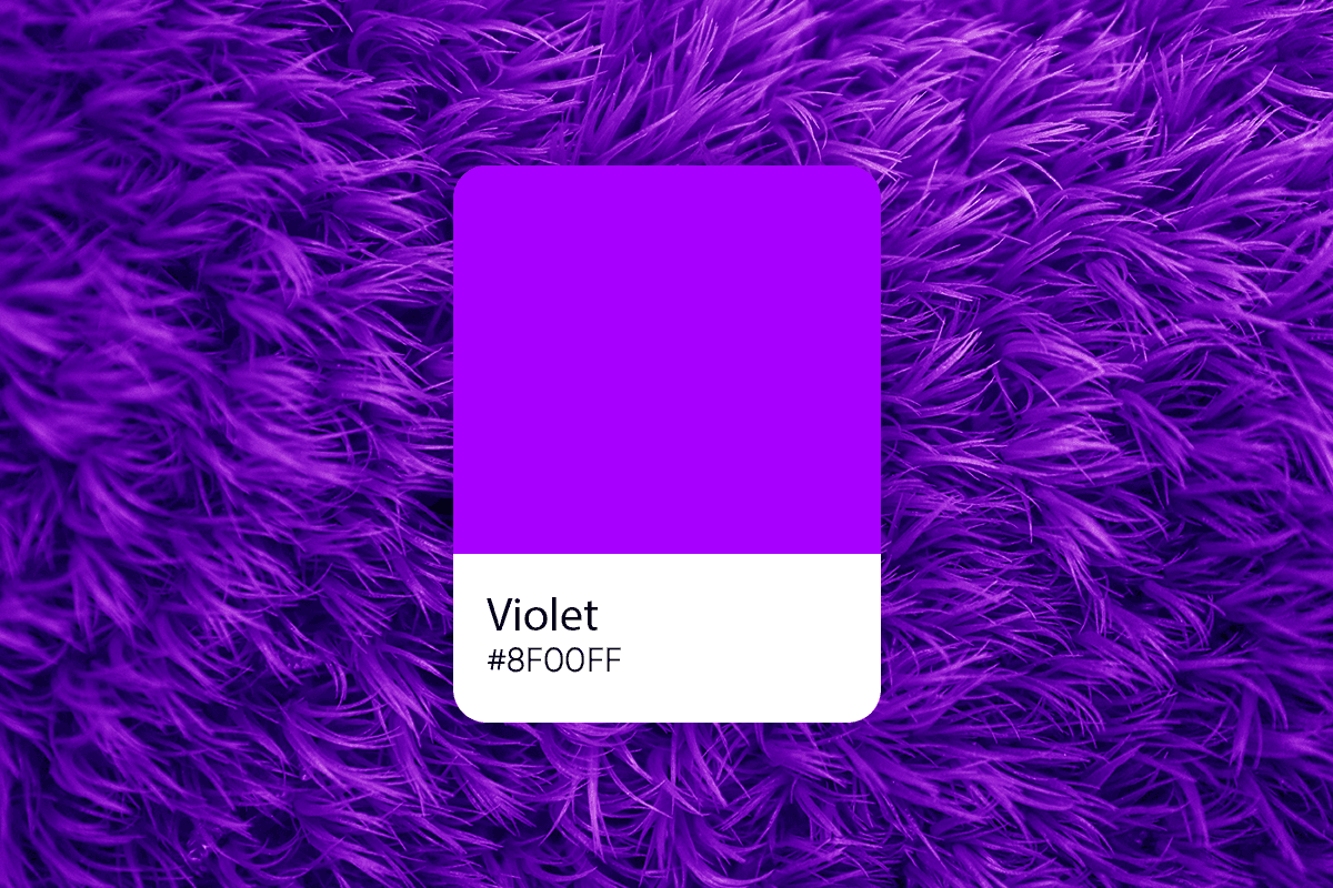 Violet Color: Its Meaning and How to Use it in Design