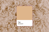 Tan Color: Its Meaning, Codes, and Top Palette Ideas