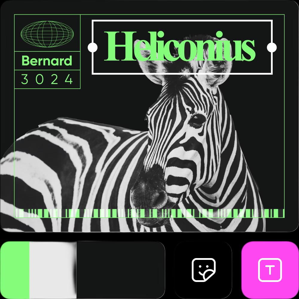  Customize album cover using Picsart tools