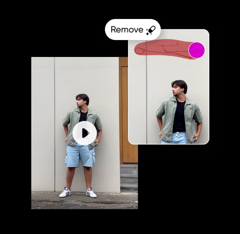 Video Object Remover