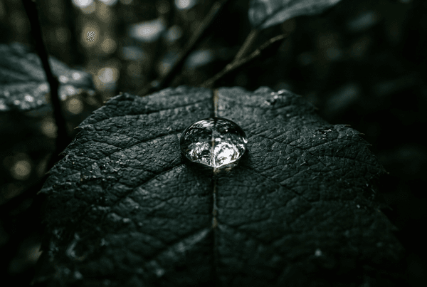 How to generate your first AI image from a text prompt