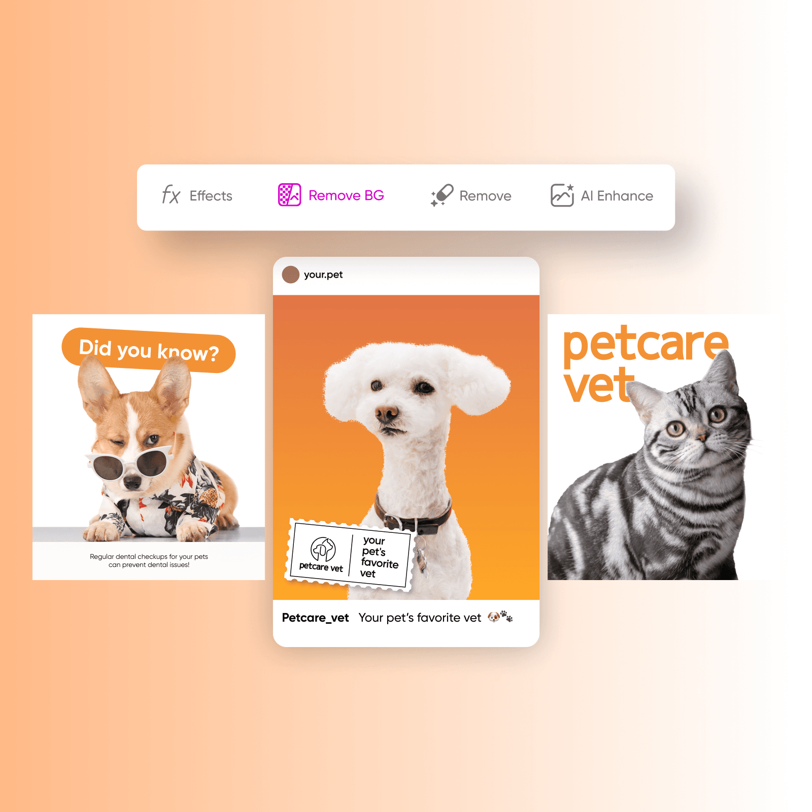 white background edits online