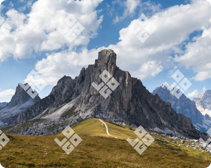 watermark with logo 1
