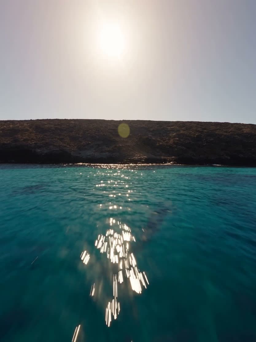 Cut your trip into a montage