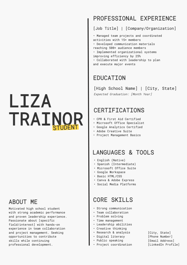 Professional High School Student Resume Template
