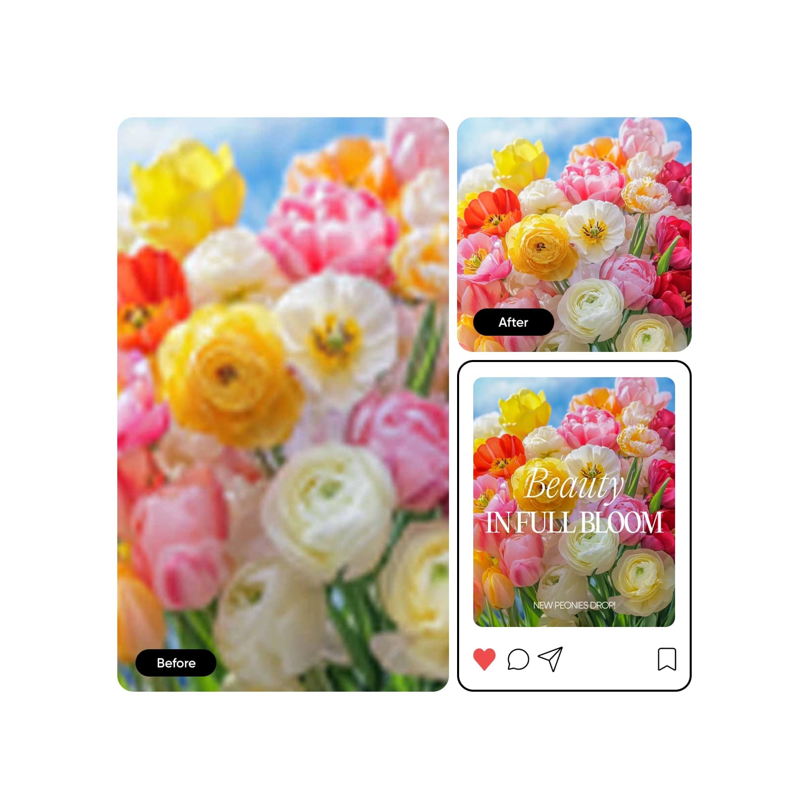Picsart workflow visual selected for the Fotor comparison