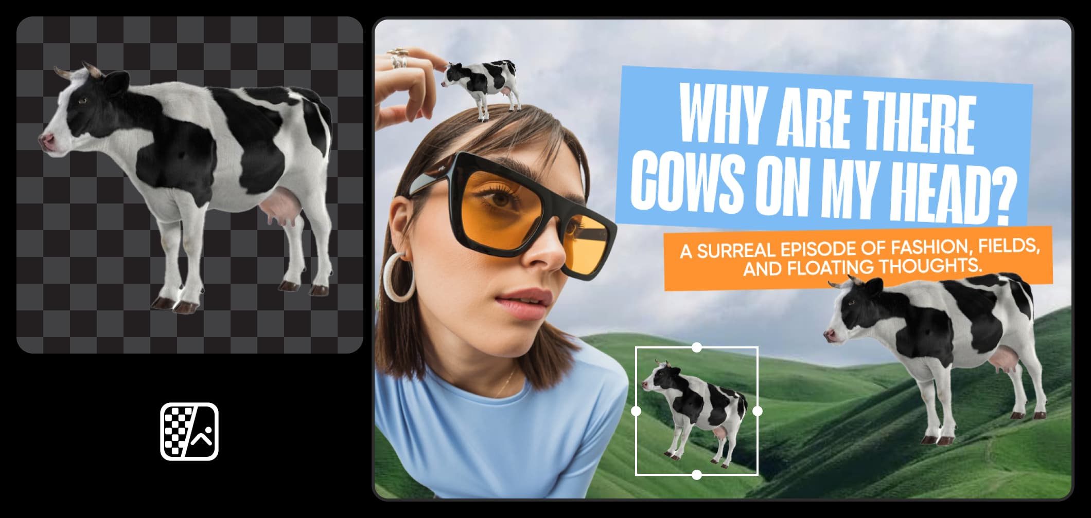 Why Are There Cows On My Head banner with a cutout cow added to the design
