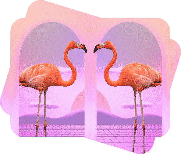 mirror effect image of a pink flamingo