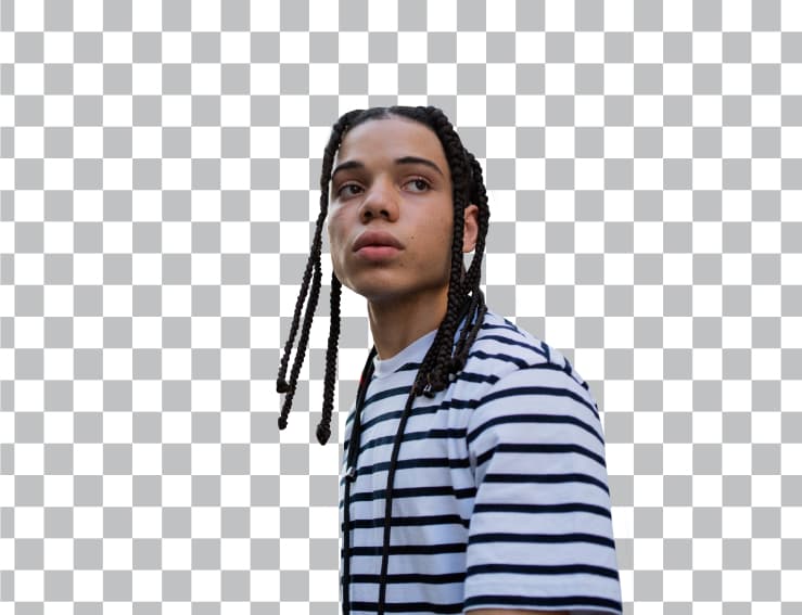 remove the background with picsart's bg remover