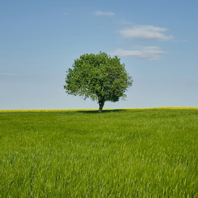 Art of minimalism