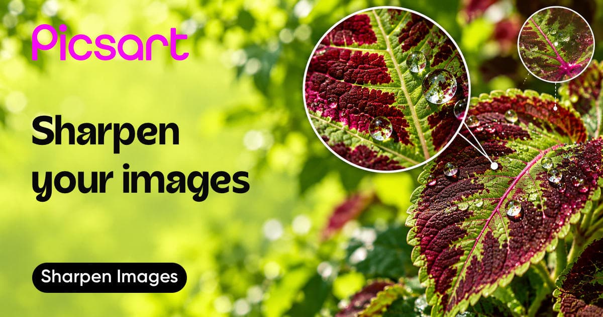 Sharpen images with Picsart